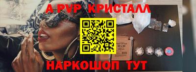 гашик Будённовск